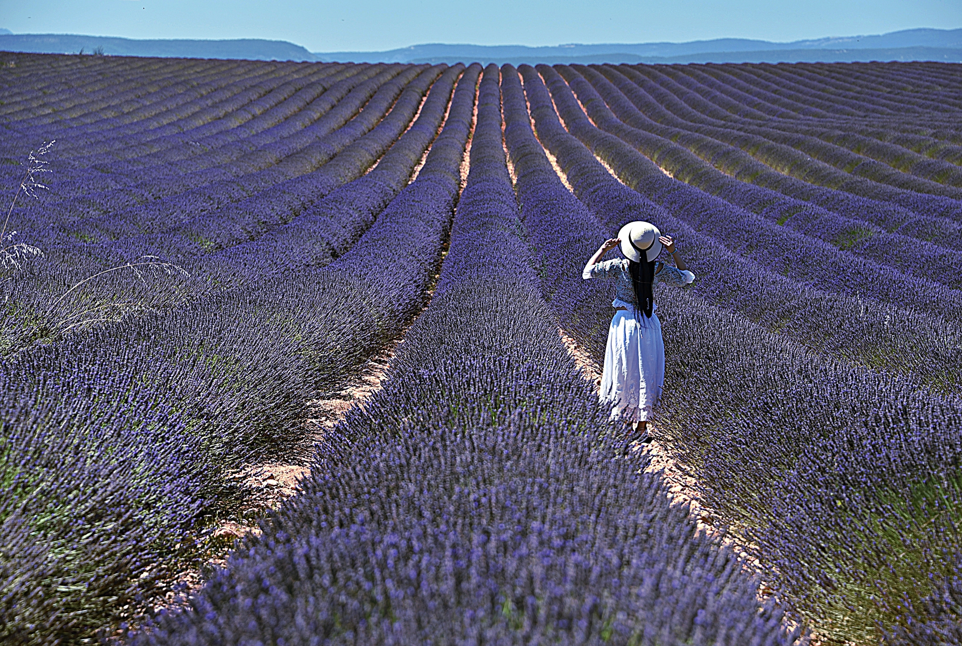 Valensole di utente cancellato