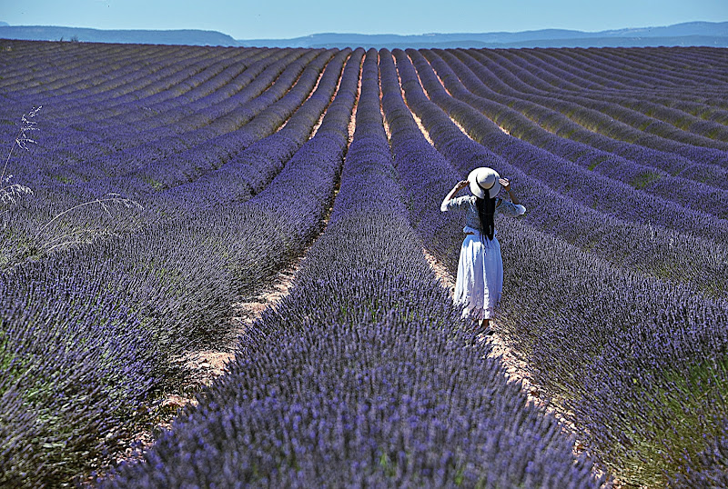 Valensole di utente cancellato