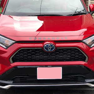 RAV4 AXAP54