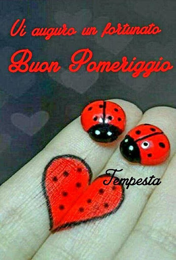 Buon Pomeriggio Messaggi