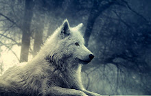 Wolf HD Wallpaper New Tab small promo image