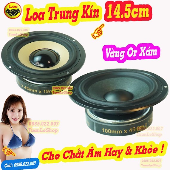 Loa Trung Kín 14Cm Hồng Kỳ, Loa Mid 14Cm - Hay Loa Trung 12 – Giá 01 Loa Mid 12 Màng Xám