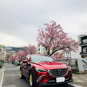 CX-3 DKEFW