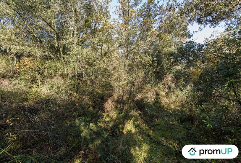  Vente Terrain agricole - 9 625m² à Le Cannet-des-Maures (83340) 