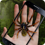 Cover Image of 下载 Spider & Hand: Fun Prank 1.1 APK