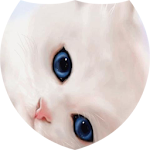 White pussy cat live wp Apk