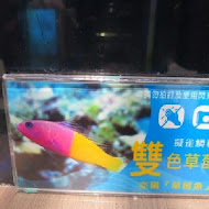 七星柴魚博物館