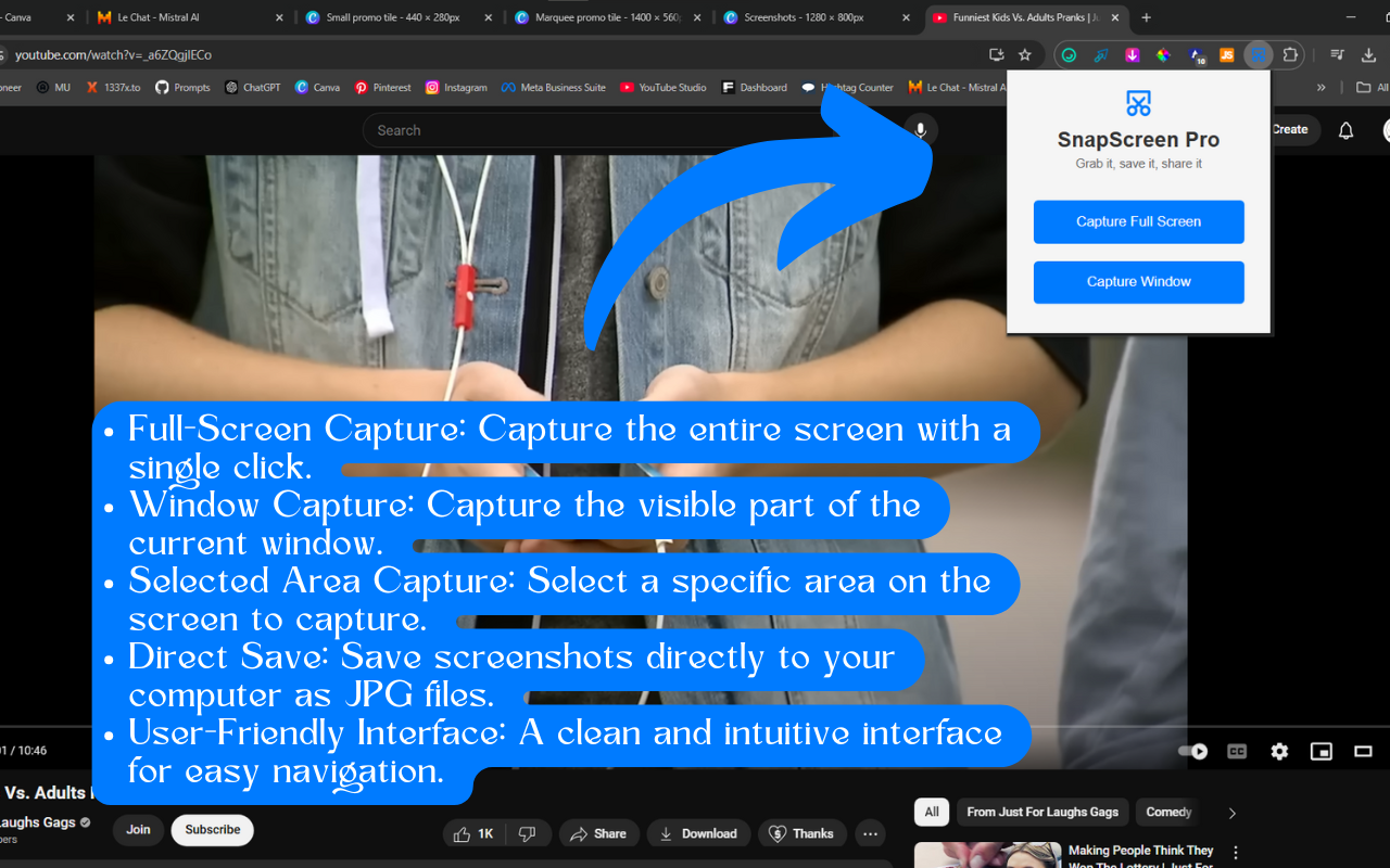 SnapScreen Pro - Grab it, save it, share it Chrome Extension Image 2