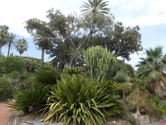 piante parco di quattrocchi