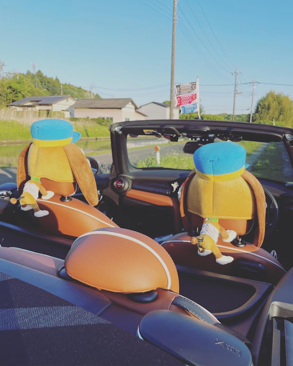 ミニ コンバーチブルのMINI Convertible・Mini Cooper s・MINI乗りさんと繋がりたい・MINI好きさんと繋がりたい・子供の日に関するカスタム事例の投稿画像5枚目