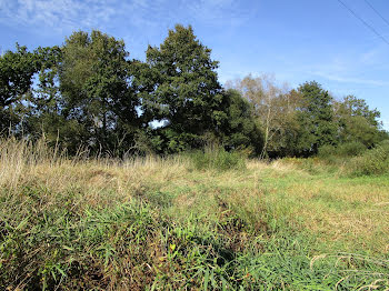 terrain à Séglien (56)