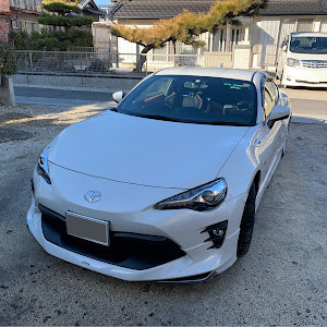 86 ZN6