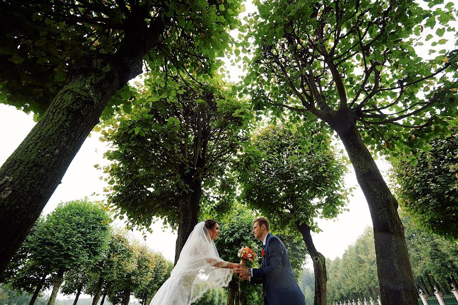 Fotógrafo de casamento Sergey Lomanov (svfotograf). Foto de 3 de junho 2017