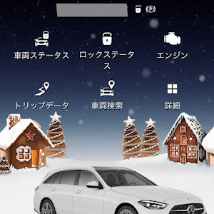 Cクラス ステーションワゴン S206