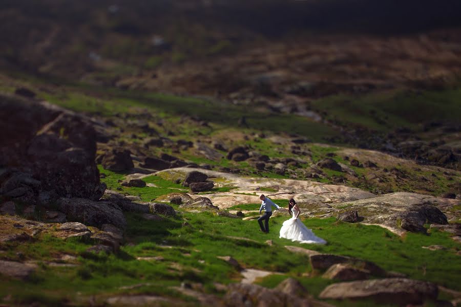 Wedding photographer Vera Gridneva (veverka). Photo of 30 October 2014