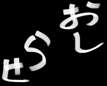 謝罪andアンケート