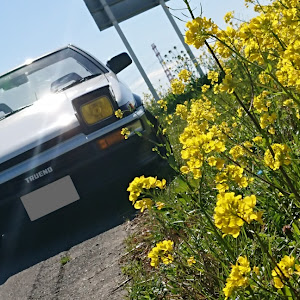 スプリンタートレノ AE86