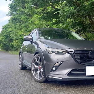 CX-3 DKEFW