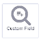 Item logo image for OpenAir Script Custom Field Audit