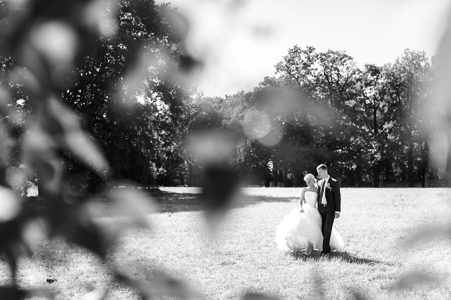 Photographe de mariage Andrey Ponomarev (panambl4). Photo du 20 novembre 2015