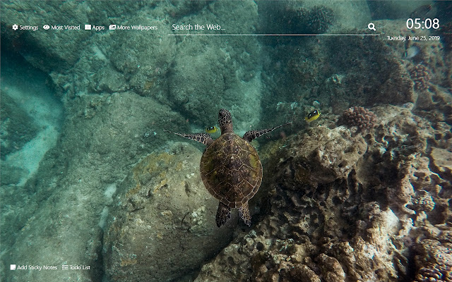 Coral Reef Tapeta HD Nová karta Téma