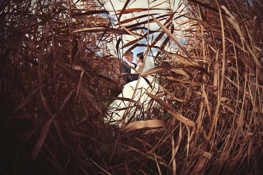 Fotógrafo de bodas Ivan Vesenin (pilot). Foto del 20 de noviembre 2012