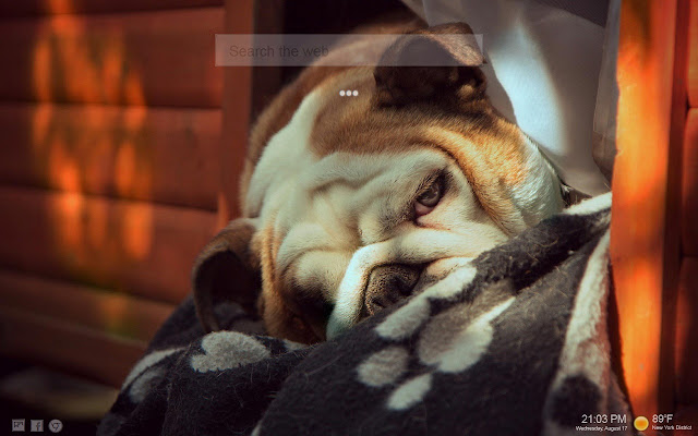 Bulldogs Tab HD