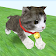 Cat Run icon