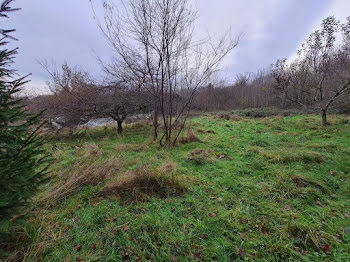 terrain à La Trétoire (77)