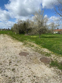 terrain à La Porte du Der (52)