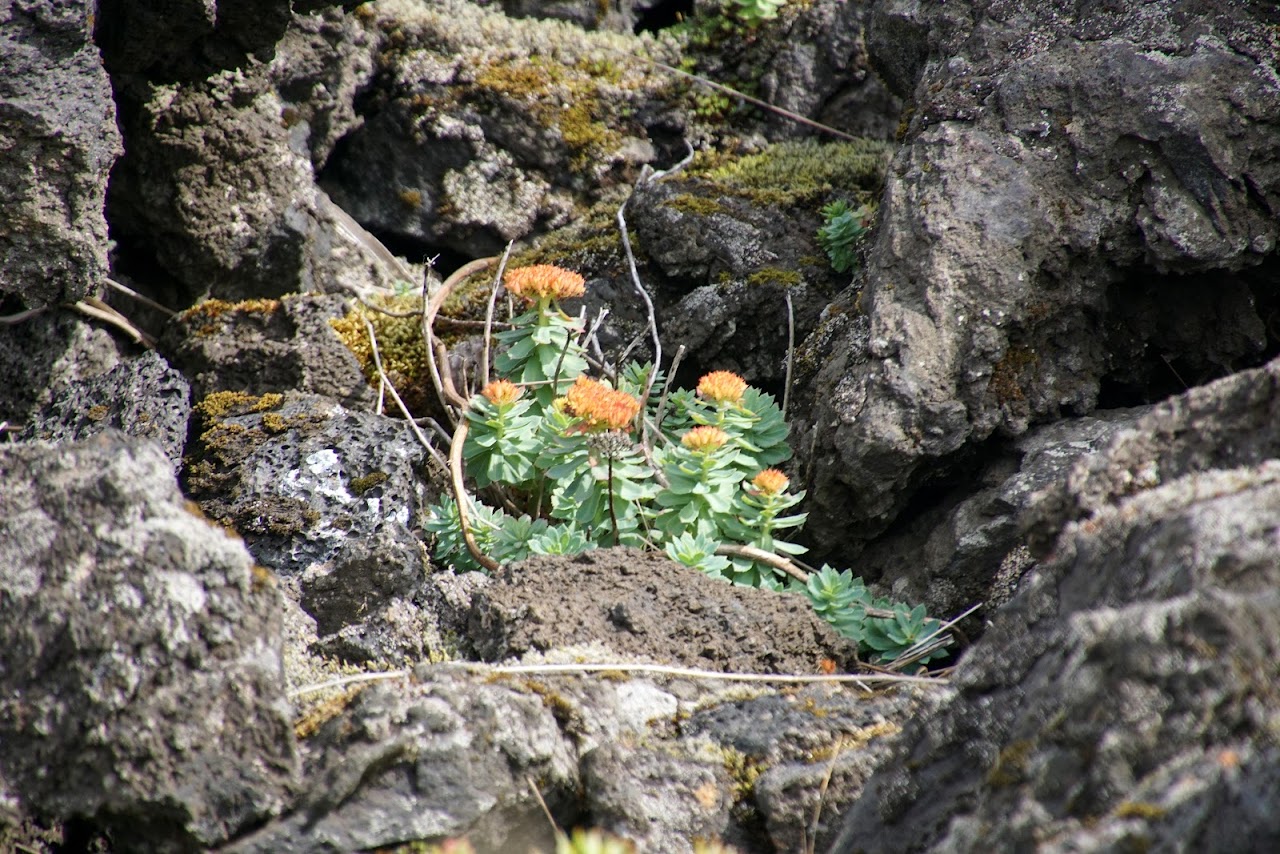 Исландия - родина слонов (архипелаг Vestmannaeyjar, юг, север, запад и Центр Пустоты)