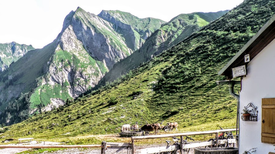 Oytal Käseralpe Älpelesattel Höfats Tour in Oberstdorf