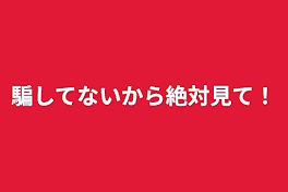 騙してないから絶対見て！