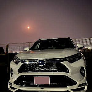 RAV4 AXAP54