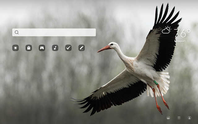 Stork HD Wallpapers New Tab