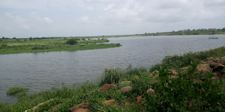 A section of Nyalani dam in Vigurungani, Kinango subcounty