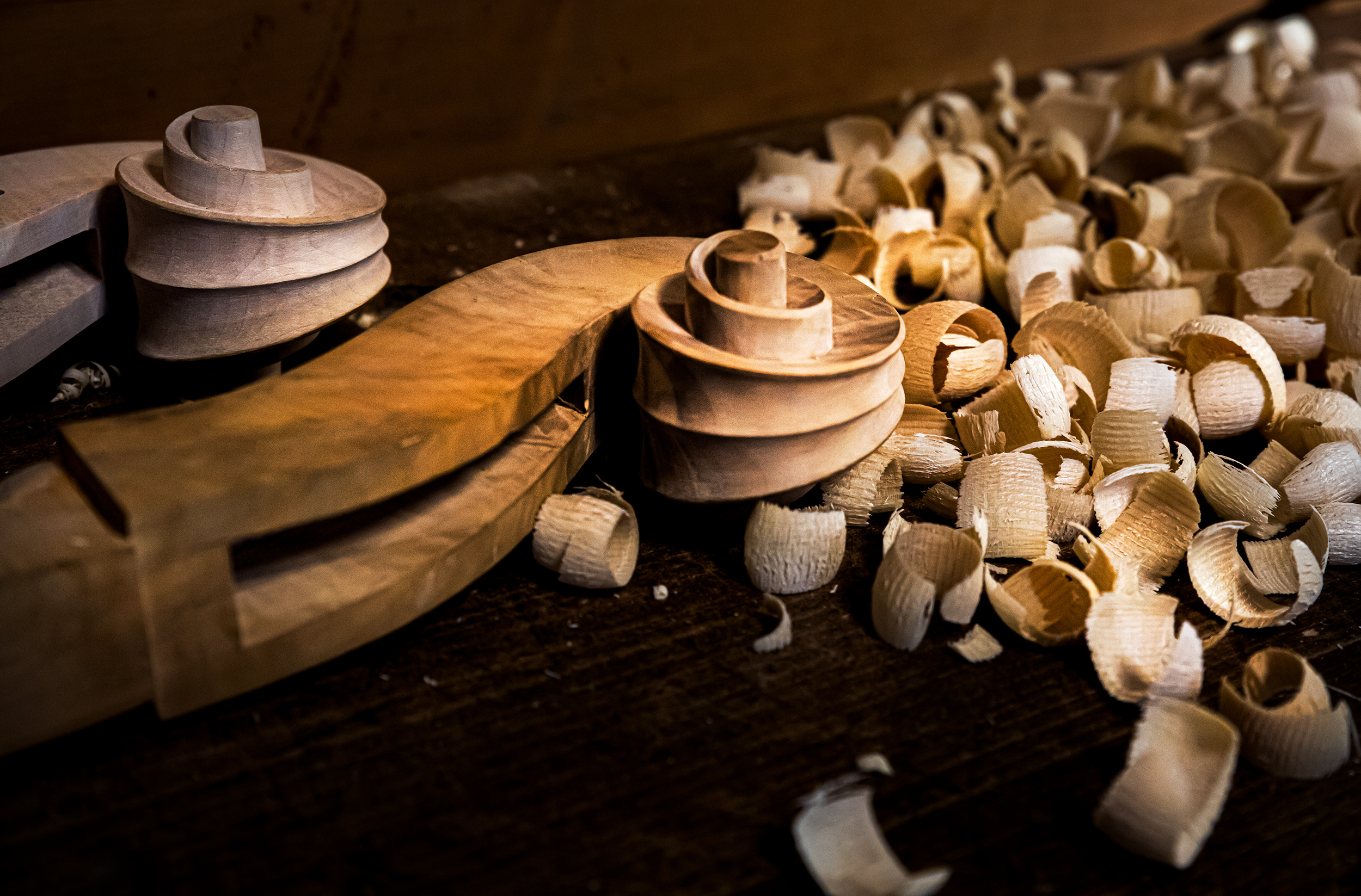 Riccioli di legno d'acero di davide_giovanni_volpi