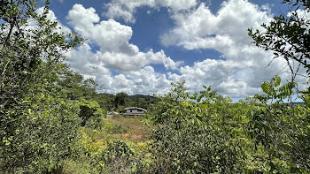 terrain à Roura (973)