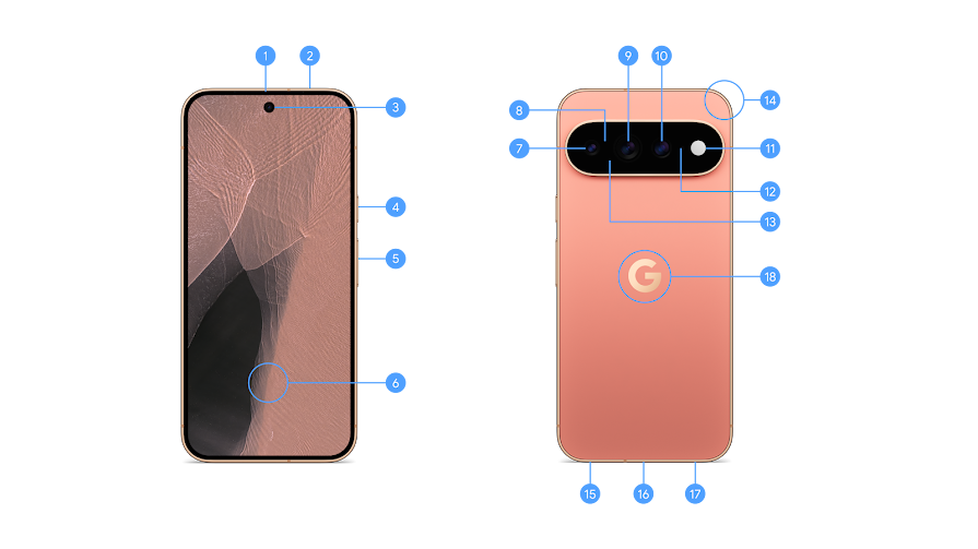 Pixel 11 Pro XL 硬體配置圖