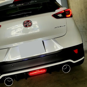 CX-3 DKEFW