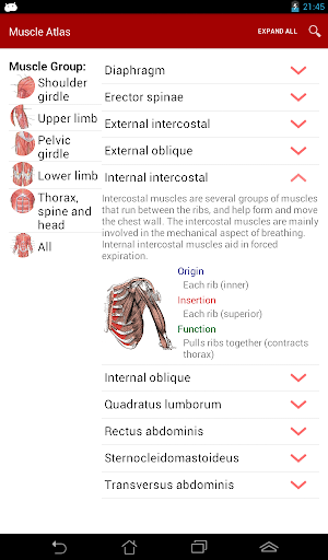 免費下載健康APP|Anatomy: Atlas of Muscles app開箱文|APP開箱王