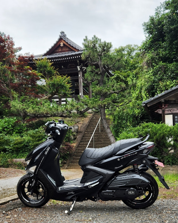ステージアの新緑と愛車・コスパいいパーツ・ステージアでお出かけ・シグナスでお出かけ・いつもありがとうございますに関するカスタム事例の投稿画像8枚目