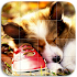 Dogs Tile Puzzle1.16