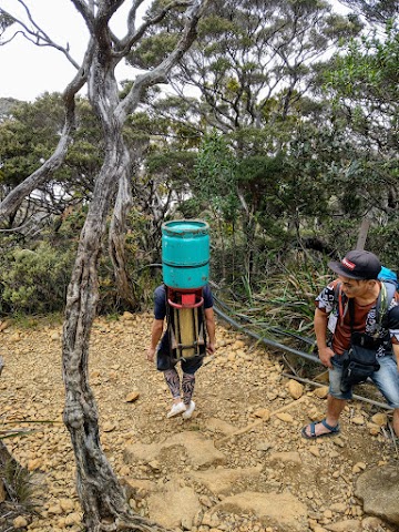 Mount Kinabalu Porter