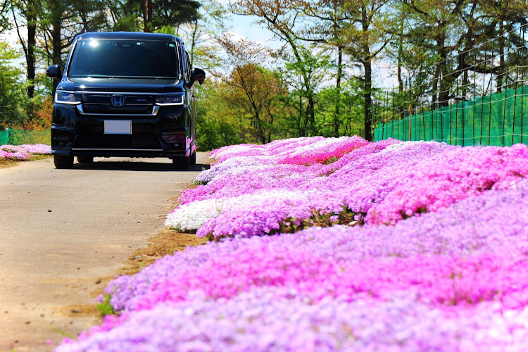 ステップワゴンの安曇野・田園風景と愛車・滝・芝桜と愛車に関するカスタム事例の投稿画像7枚目