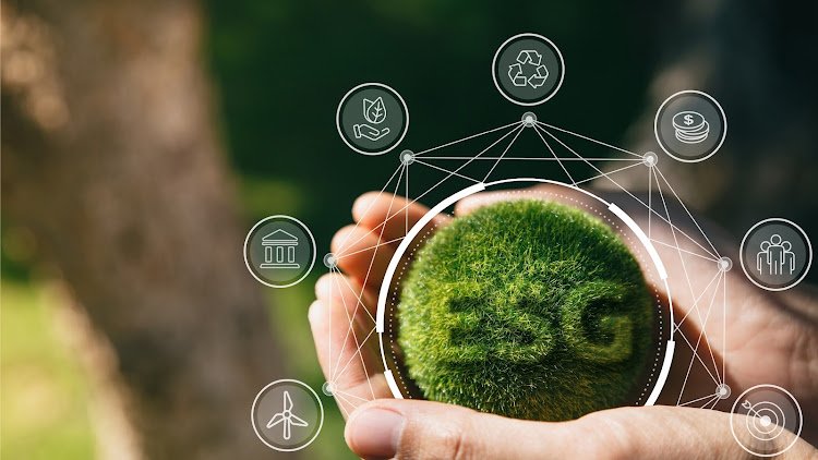 The realisation of a just transition into a green economy that is low in carbon emissions may force the industry to rethink how environmental, social and governance (ESG) outcomes are measured and reported on. Picture: SUPPLIED/OLD MUTUAL INVESTMENT GROUP