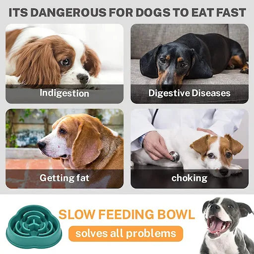 Dog Puppy Slow Feeder Bowl Non Slip Puzzle Bowl Anti-Gulping Dog Slower Food Feeding Dishes Pet Bowl for Large Medium Sm