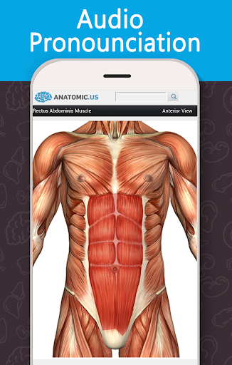 Screenshot Anatomy Game Anatomicus Pro