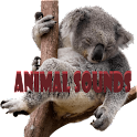 Icon Animal Sounds