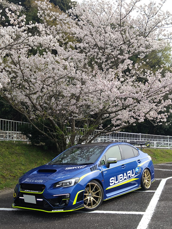 WRX STIの夕日に輝くあなたの愛車・サクラと愛車・蛍光イエローに関するカスタム事例の投稿画像2枚目